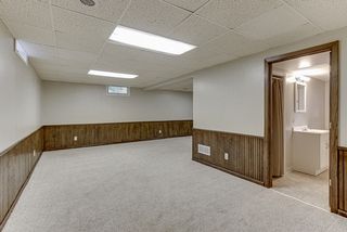 Large lower level living living room