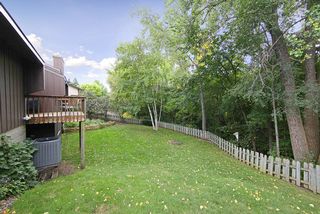 Premium Wooded Lot