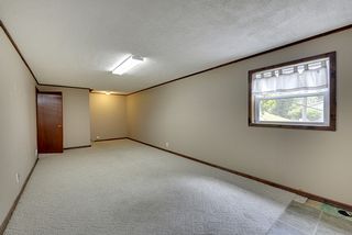 Daylight window. 