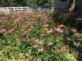 Photo provided by homeowner.