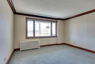 Generous windows provide ample light. 