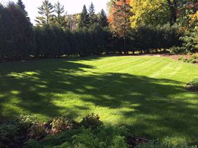 Photo provided by seller