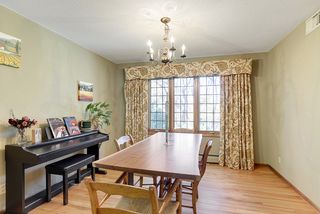 This Window Overlooks The Rear Yard. 