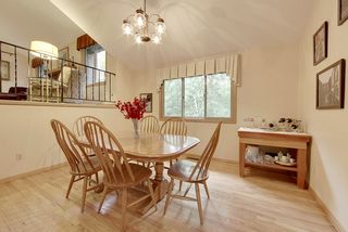 Views of the Wooded Back Yard
