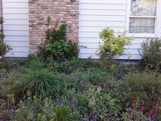 Photo Provided by Agent