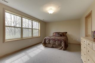 Lower level bedroom - beautiful views. 