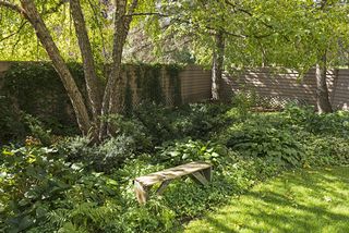 Lush perennial gardens and mature birch trees!