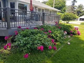 Photo Provided by Agent