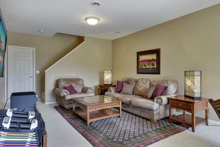 Lower level family room with lots of natural light with lots of windows