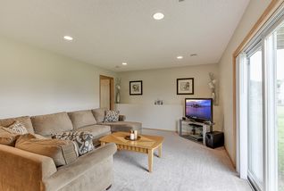 Lower level family room walks out to the back yard