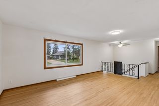 Bright living room overlooking the front yard