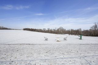 Dog Park.