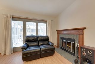 Real wood fireplace