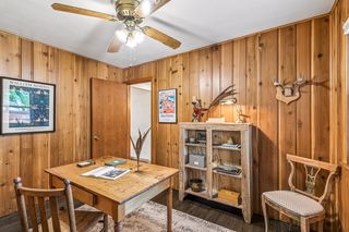 Great knotty pine in office
