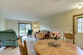 Lots of natural light in inviting living room...