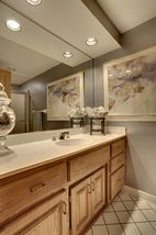 3/4 Guest Bathroom on the Lower Level