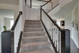 New and crisp - fresh and inviting - why build when you can move in now? - 3942 Campello Curve
