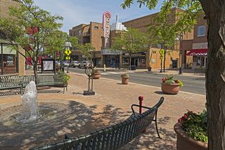 Edina