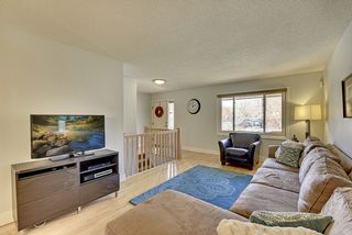 Light filled spaces - birch flooring throughout. 