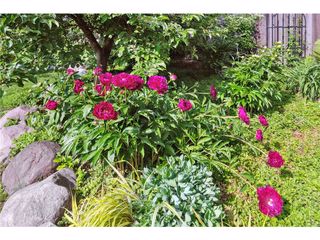 Image Provided by Seller