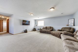 Bright, open and spacious downstairs family room