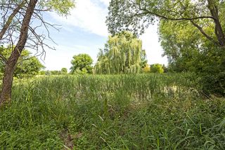 A small pond is located in the backyard, birds and wildlife abound.