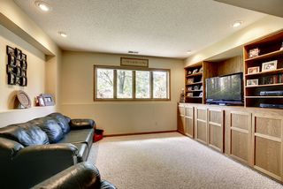 Lower Level Family Room - Daylight Windows