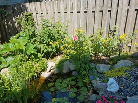 Photo provided by seller.