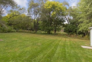 Large flat lot