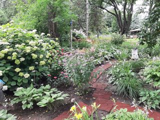 Photo Provided by Seller