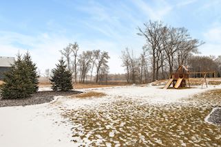 backyard one