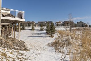 View of Open Space with Trees and Deck