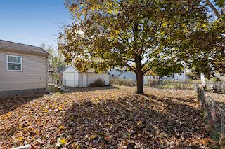 Spacious backyard