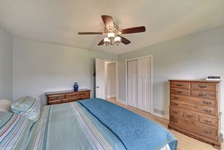 Ceiling fans, paneled doors and closets, newly painted walls. 