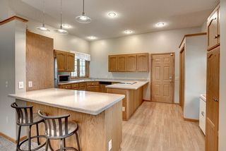 Numerous Silestone counters - pendant and canned lighting.