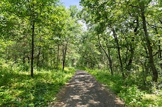 Tree lined private drive leads home