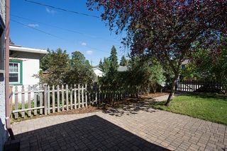 Green grass  - combined with easy maintenance beds and pavers - make for a very manageable yard!