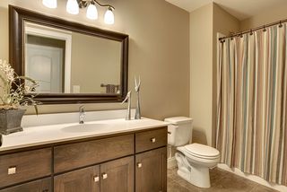 Lower level bathroom