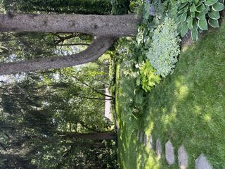 Photo Provided by Agent 