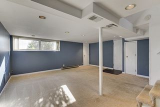 The Lower Level Family Room features Daylight Windows & Recessed Lighting...