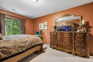 Custom Window Treatments on all Windows Throughout