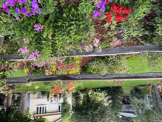 photo provided by seller