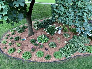 Picture provided by Agent