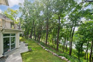 Wooded Lot