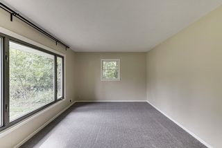 Living room with a ton of natural light and new carpet