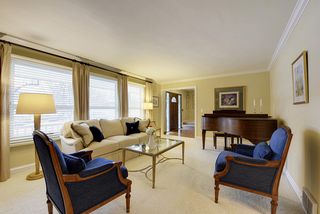 Cove molding and neutral decor!