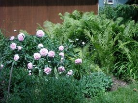 Photo provided by seller.
