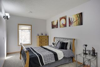 3rd Bedroom Lower Level with Convenient Bath Just outside the door