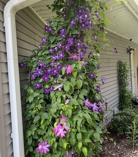 Photo Provided by Seller