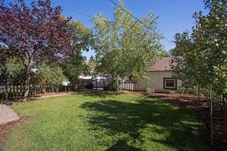 Fenced in back yard. 